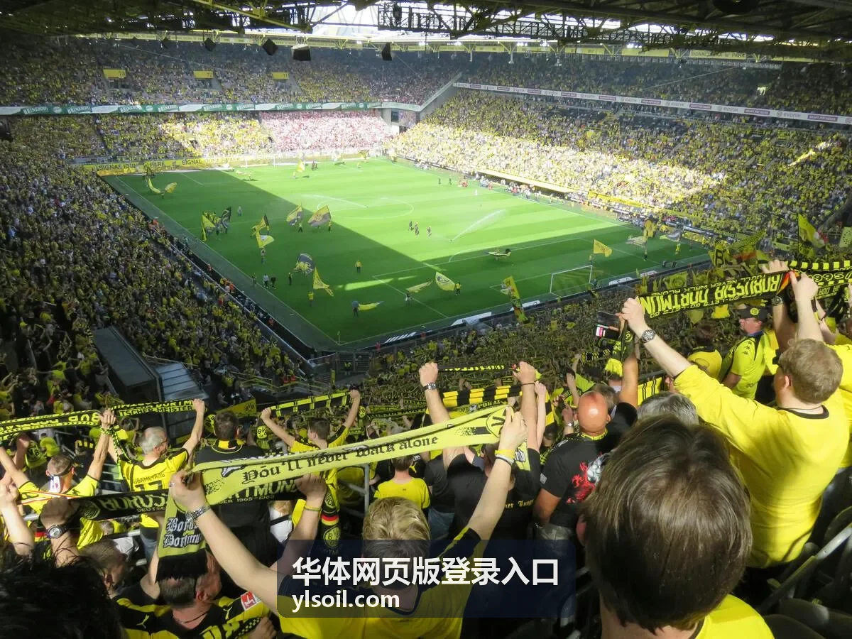 华体网页版登录入口赛前江湾红帆与蓝湾鲨鱼焦点赛事封面