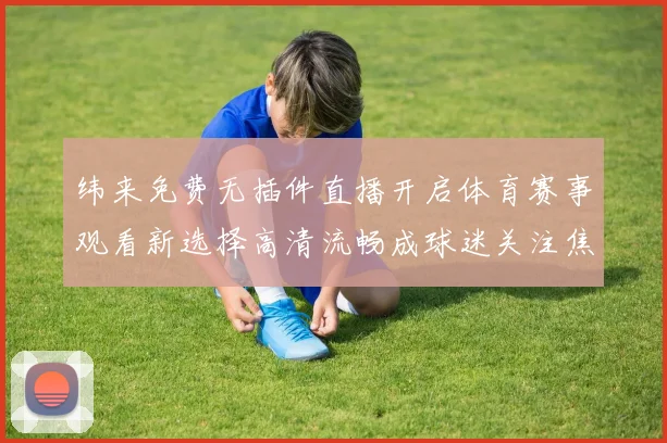 纬来免费无插件直播开启体育赛事观看新选择高清流畅成球迷关注焦点