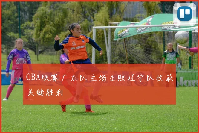 CBA联赛广东队主场击败辽宁队收获关键胜利