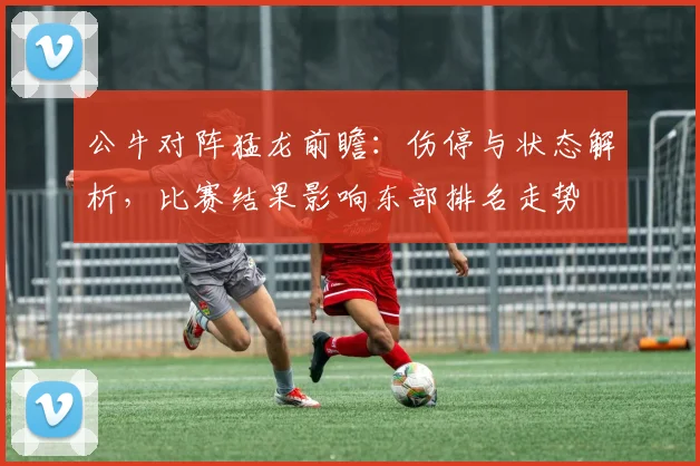 公牛对阵猛龙前瞻：伤停与状态解析，比赛结果影响东部排名走势