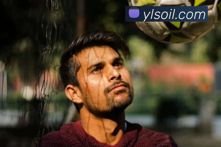 米兰官方网站入口平台生态图